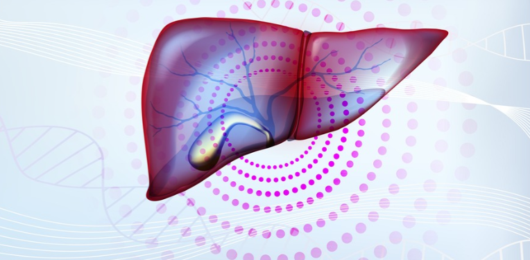 Tratamiento farmacológico de la esteatosis hepatica (MASLD)